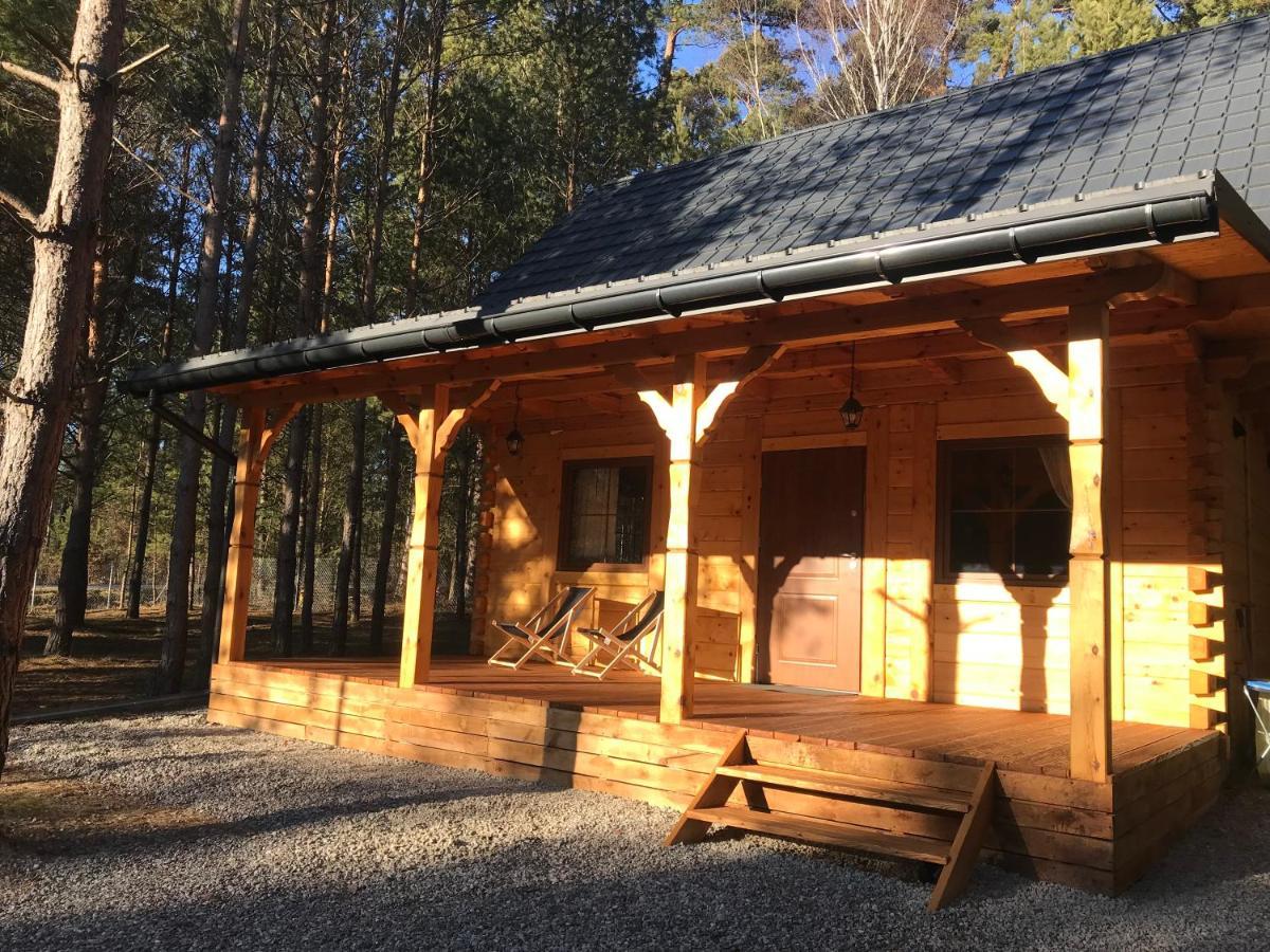 Forest Inn Trzepieciny Εξωτερικό φωτογραφία
