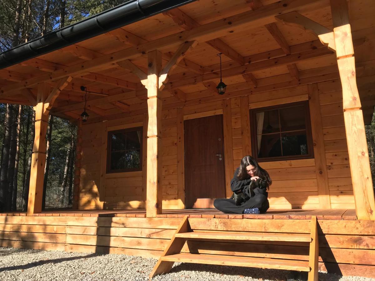 Forest Inn Trzepieciny Εξωτερικό φωτογραφία