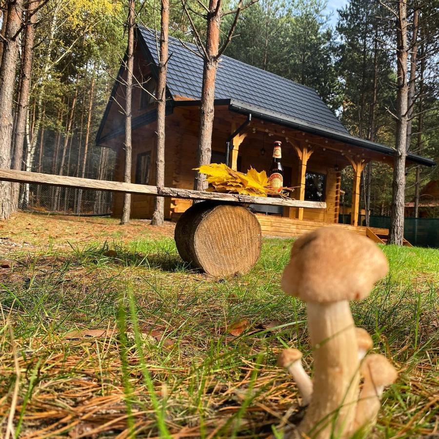 Forest Inn Trzepieciny Εξωτερικό φωτογραφία