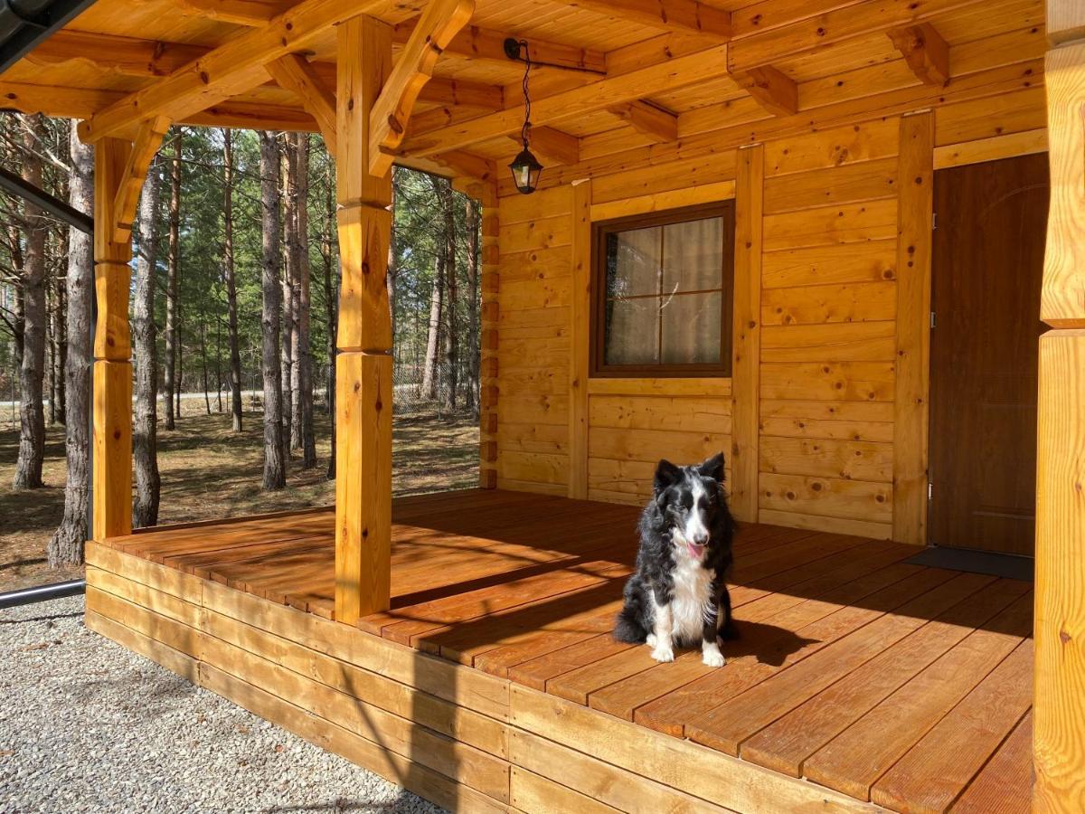 Forest Inn Trzepieciny Εξωτερικό φωτογραφία